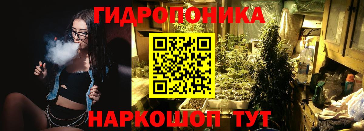 Конопля LSD WEED  Вход с VPN  Сургут  Бошки Шишки семена 